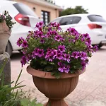 La Casa Dei Sogni